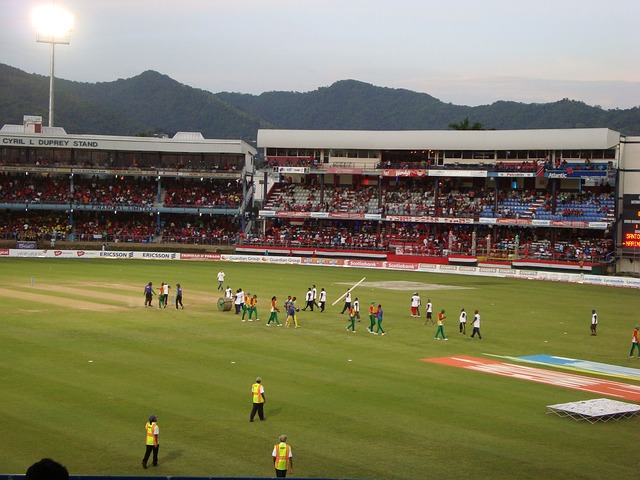 CRICKET